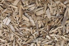 biomass boilers Amlwch